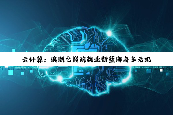 云计算:浪潮之巅的就业新蓝海与多元机遇